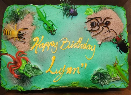 PERFECT CAKE FOR AN ENTOMOLOGIST--What's a perfect birthday cake for an insect scientist? One with bugs. (Photo by Kathy Keatley Garvey)
