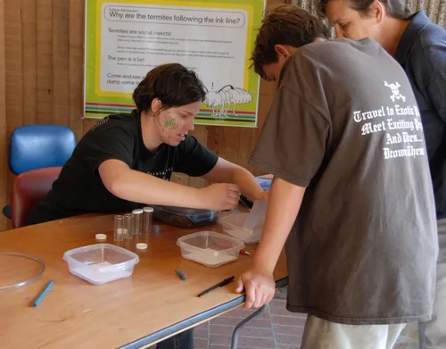ROUNDING UP THE TERMITES--Coordinating the termite trail activity last year at the UC Davis Picnic Day at Briggs Hall was graduate student Tara Thiemann. She'll also be coordinating the termite trails again this year. The UC Davis Picnic Day is from 10 a.m. to 4 p.m., Saturday, April 18. (Photo by Kathy Keatley Garvey)