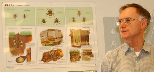 EXTENSION APICULTURIST Eric Mussen answers scores of questions about honey bees every day. (Photo by Kathy Keatley Garvey)