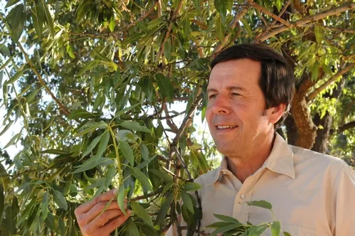 FRANK ZALOM, professor of entomology and integrated pest management specialist (IPM), UC Davis Department of Entomology, is part of the IPM team making a difference in Central Asia. (Photo by Kathy Keatley Garvey)