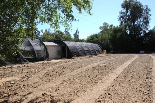 HONEY BEE HAVEN--This is the site of the Haagen-Dazs Honey Bee Haven, a half-acre bee friendly garden to be planted near the Harry H. Laidlaw Jr. Honey Bee Research Facility, UC Davis. Ground preparation is under way. In the back are the hoop houses. (Photo by Kathy Keatley Garvey)