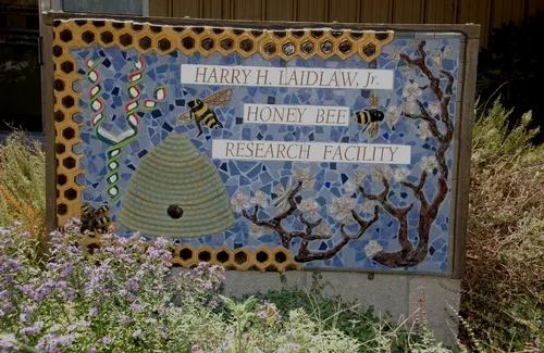 SIGN in front of the Harry H. Laidlaw Jr. Honey Bee Research Facility at UC Davis honors the legendary geneticist. The ceramic sculpture at the site (sign and walls) is the work of Davis artist Donna Billick and entomologist-artist Diane Ullman. (Photo by Kathy Keatley Garvey)