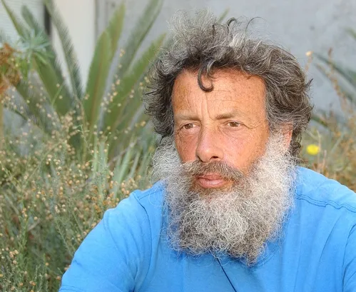 BUTTERFLY EXPERT Arthur Shapiro hadn't seen the Western Tiger Swallowtail in the Davis area for 15 years. This year there's been some 100 sightings. "Now it looks like it's back as if nothing had happened!" he said. (Photo by Kathy Keatley Garvey)