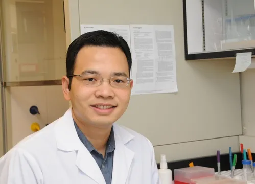 MALARIA RESEARCHER Win Surachetpong in the Shirley Luckhart lab at UC Davis. (Photo by Kathy Keatley Garvey)