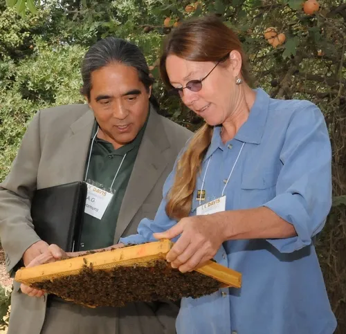 CALIFORNIA Secretary of Agriculture A. G. Kawamura admires Susan Cobey's bees at the California State Apiary Board meeting held Oct. 3, 2008 at the Harry H. Laidlaw Jr. Honey Bee Research Facility. Kawamara praised her bees’ elegance and gentle temperament. In his youth, he reared honey bees for several years, tending the hives and selling the honey. (Photo by Kathy Keatley Garvey)