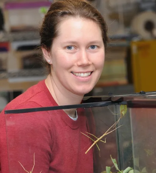 TABATHA YANG, education and outreach coordinator at the Bohart Museum of Entomology, with assorted walking sticks. (Photo by Kathy Keatley Garvey)