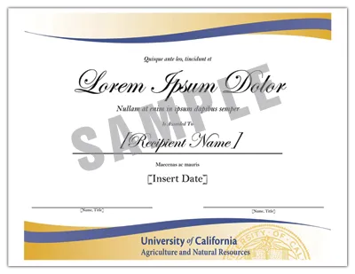 Certificate Sample Image