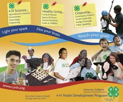 4-H Fair Banner