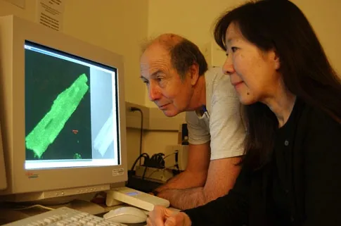 RESEARCHERS Bruce Hammock and Nipavan Chiamvimonvat, co-authors of the paper, look at a rodent enzyme. (Photo by Kathy Keatley Garvey)