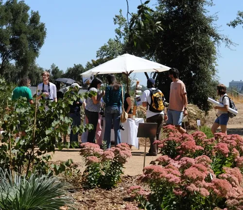 HONEY BEE HAVEN looked glorious in its fall colors, including sedum (foreground). (Photo by Kathy Keatley Garvey)