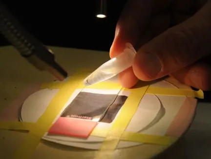 THOMAS SCOTT at work in his lab. (Photo by Kathy Keatley Garvey)