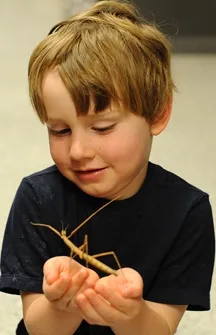 tobywithwalkingstickforweb