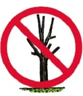 Click to read Don't Top Trees