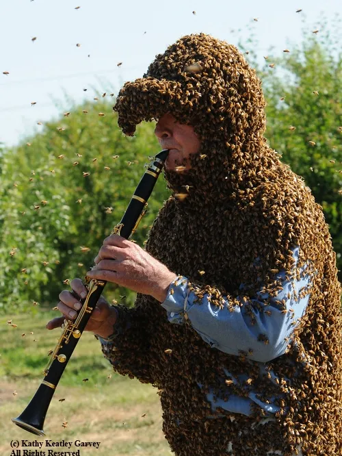 NORMAN GARY combines two occupations: bees and music. (Photo by Kathy Keatley Garvey)