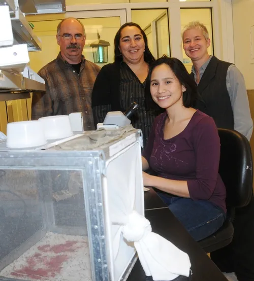 TARGETING MALARIA--This is the UC Davis team that co-authored research (with University of Arizona scientists) that made Time Magazine's "Top 50 Inventions of 2010"--the malaria-proof mosquito. In front, at the microscope, is entomology doctoral student Anna Drexler. In back (from left) are professor Edwin Lewis, postdoctoral scholar Nazzy Pakpour, and professor Shirley Luckhart. In the foreground: anopheline mosquitoes. (Photo by Kathy Keatley Garvey)