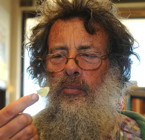 NOTED BUTTERFLY EXPERT Art Shapiro, professor of evolution and ecology at UC Davis, with the cabbage white butterfly perched on his finger. (Photo by Kathy Keatley Garvey)