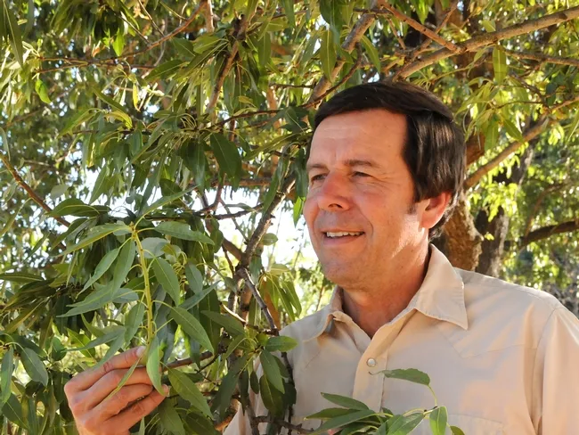 IPM specialist Frank Zalom. (Photo by Kathy Keatley Garvey)