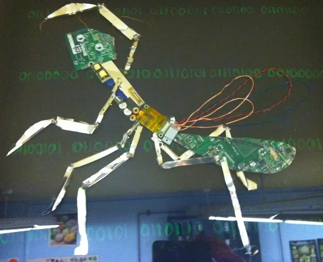 What is it? A student meshed art with science. (Photo courtesy of Anna Davidson)