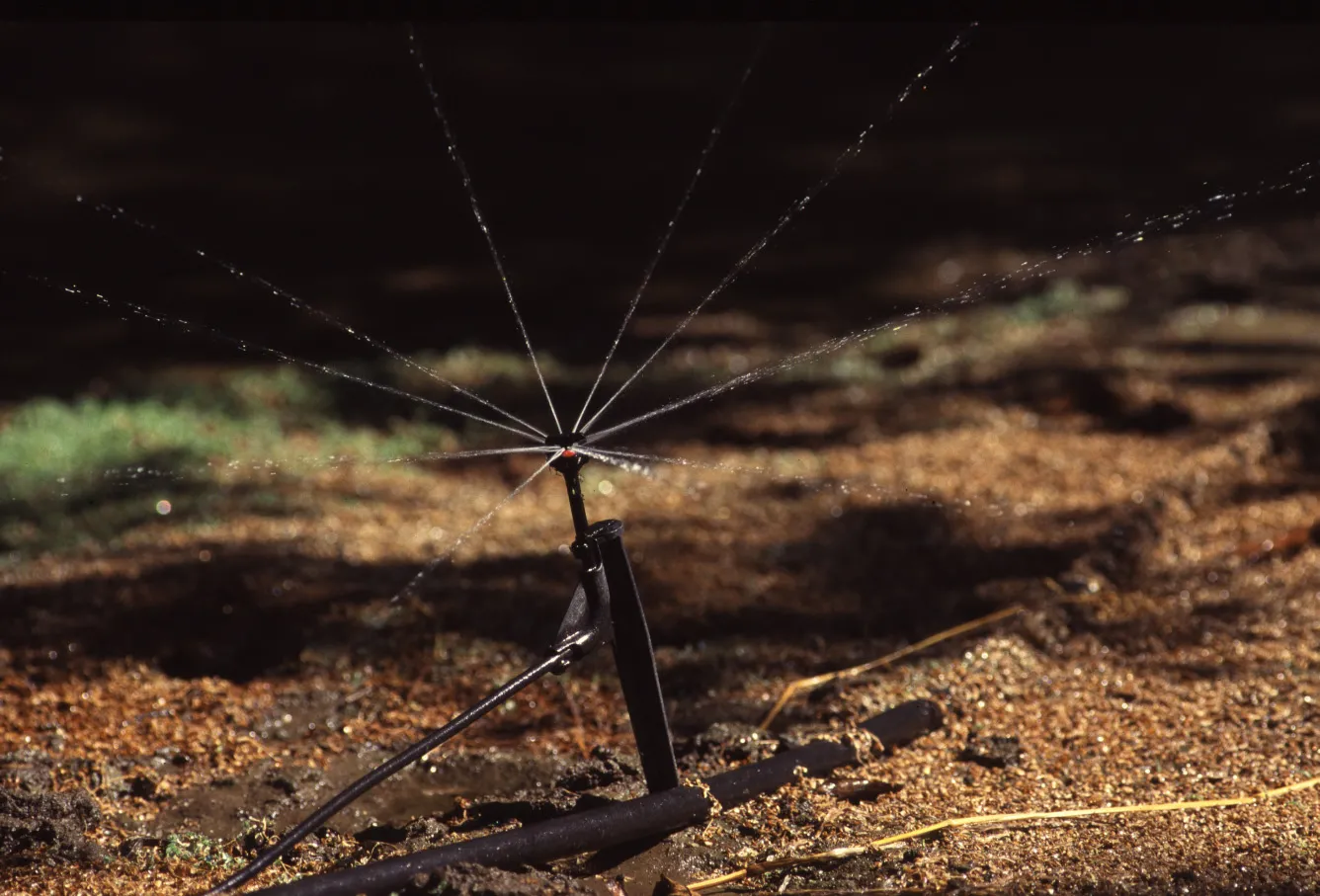 Fan-jet style microsprinkler. Photo: L Schwankl