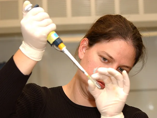 Tara Thiemann working in the lab. (Photo by Kathy Keatley Garvey)