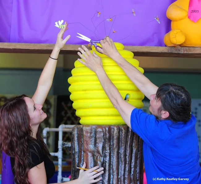 Elisa Seppa (left), superintendent of McCormack Hall, Solano County fFair and assistant superintendent Gloria Gonzalez work on a skep display. (Photo by Kathy Keatley Garvey)
