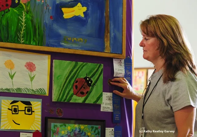 McCormack Hall assistant Deborah Miller of Vallejo just installing this display, which includes colorful ladybugs. (Photo by Kathy Keatley Garvey)