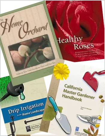 ANR Publications Graphic