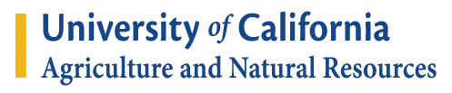 Blue Logotype Sample