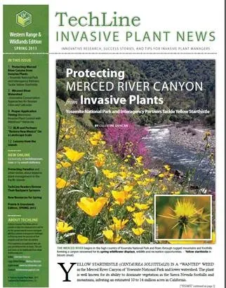 Spr 2013 Techline cover