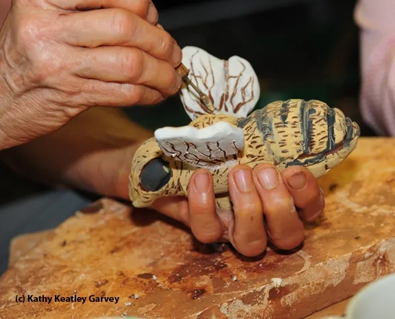 Wings receive special treatment. (Photo by Kathy Keatley Garvey)