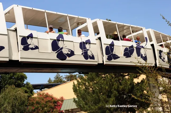 California dogface butterfly is illustrated on the California State Fair monorail. (Photo by Kathy Keatley Garvey)