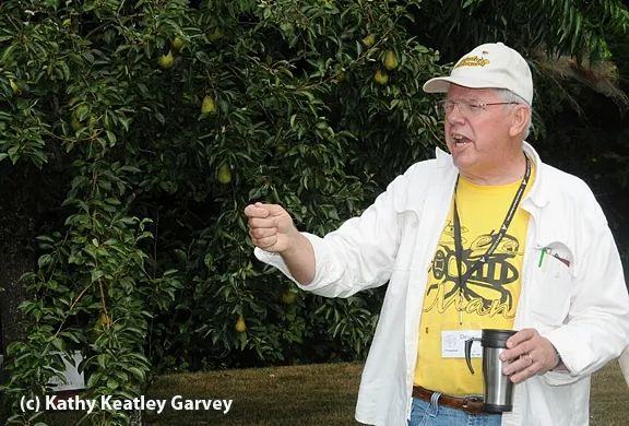 Apiculturist Dewey Caron at a Western Apicultural Society meeting. (Photo by Kathy Keatley Garvey)