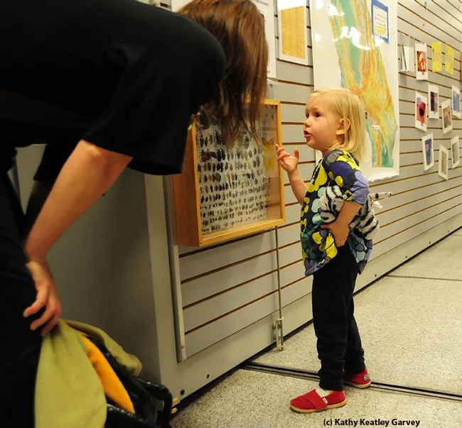 Entomologist Leia Matern answers a question from her daughter, Tilly. (Photo by Kathy Keatley Garvey)