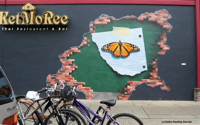 The mural from a distance. (Photo by Kathy Keatley Garvey)