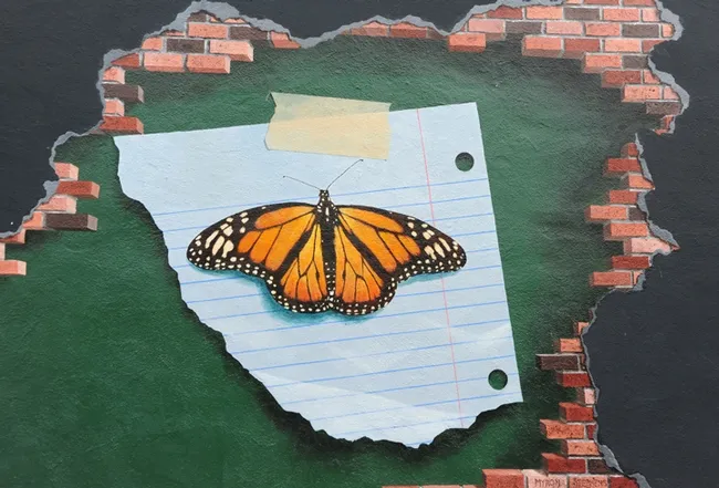 Moving in closer. (Photo by Kathy Keatley Garvey)