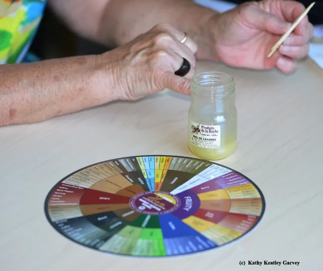 Jar of lavender honey rests next to the UC Davis Honey and Pollination Center's Honey Flavor Wheel. (Photo by Kathy Keatley Garvey)