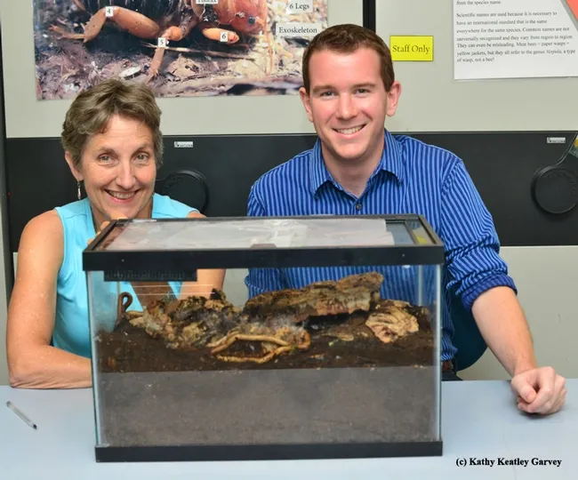 Lynn Kimsey, director of the Bohart Museum of Entomology, and millipede enthusiast Evan White, both of UC Davis,