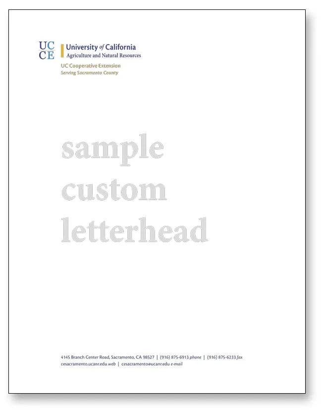 Letterhead_CustomSample
