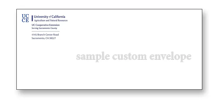 Envelope_CustomSample