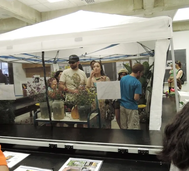 Visitors at the Pollinator Pavilion, UC Davis Picnic Day, could could get up close and personal with the pollinators in a zipped enclosure. (Photo by Kathy Keatley Garvey)