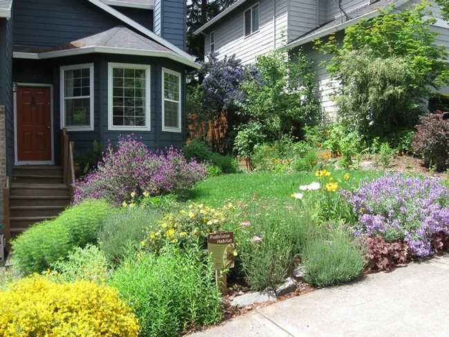 Matthew Shepherd's front yard at his home in Beaverton, Ore., draws scores of pollinators. (Photo courtesy of Matthew Shepherd)