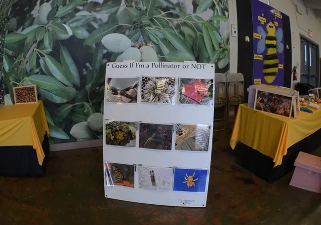 One display featured this interactive exhibit from UC Davis: "Guess if I'm a pollinator or not?" (Photo by Kathy Keatley Garvey)