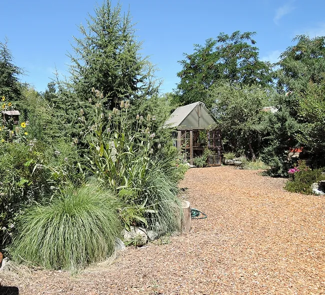 Rounding a corner in the Kate and Ben Frey garden at their home in Hopland, Calif. Ben installed the drip irrigation system in the one-acre garden.(Photo by Kathy Keatley Garvey)