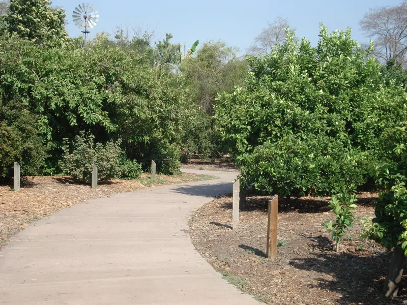 A winding concrete pathway through a fruit orchard with green trees on either side.