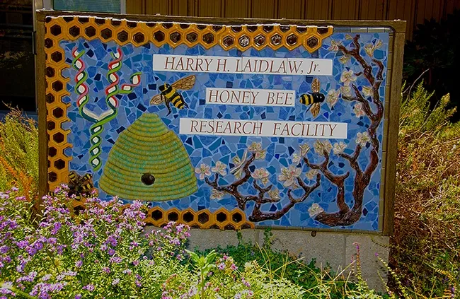 This sign, fronting the Harry H. Laidlaw Jr. Honey Bee Research Facility at UC Davis, is the work of self-described "rock artist" Donna Billick of Davis. (Photo by Kathy Keatley Garvey)