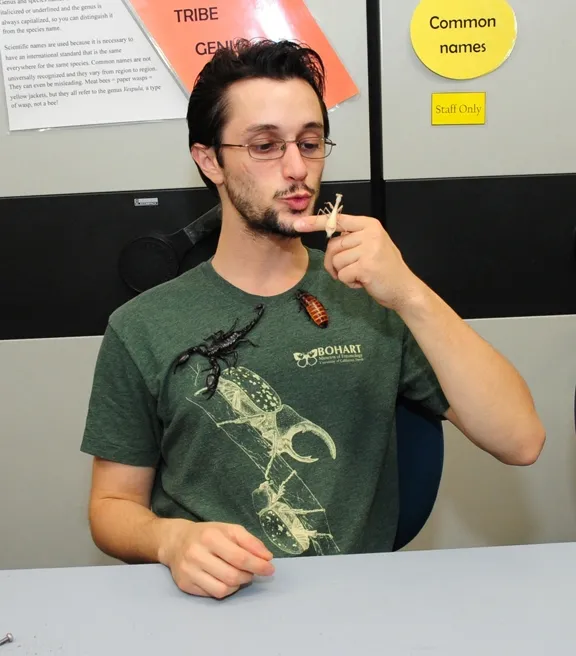 UC Davis entomology student Wade Spencer holds the female praying mantis. (Photo by Kathy Keatley Garvey)