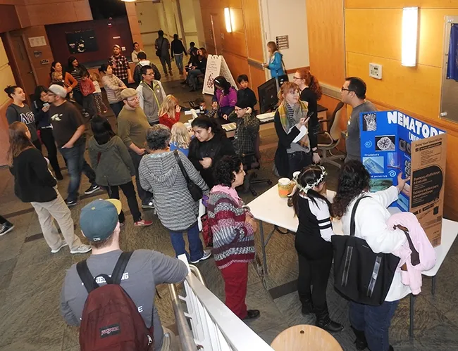 A bird's eye view of the nematode collection in the Sciences Lab Building. (Photo by Kathy Keatley Garvey)
