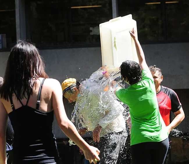 Distinguished professor Bruce Hammock, who holds a joint appointment with the UC Davis Department of Entomology and Nematology and the UC Davis Comprehensive Cancer Center, gets drenched. (Photo by Kathy Keatley Garvey)
