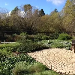 Sustainable 1 R 250p