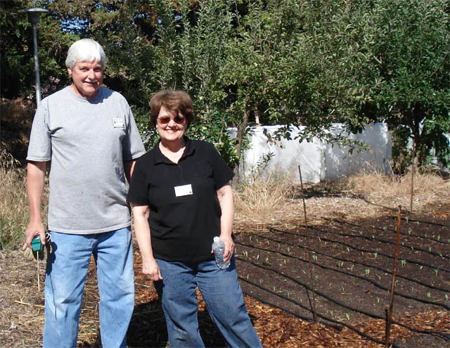 Two master gardeners, a man and a woman, stand in front of a garden bed with newly germinated corn seedlings.